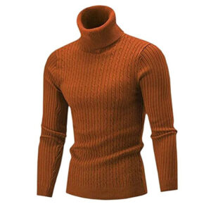 Winter Men's Turtleneck Sweater Slim Fit Casual Pullover DL12001