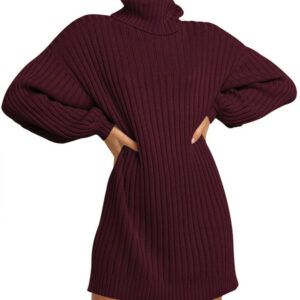 Women Turtleneck Long Sleeve Casual Loose Oversized Sweater Dress DL22006